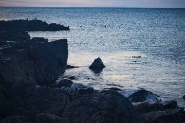 Akranes, İzlanda 'da kayalık kıyı şeridi ve sakin deniz.