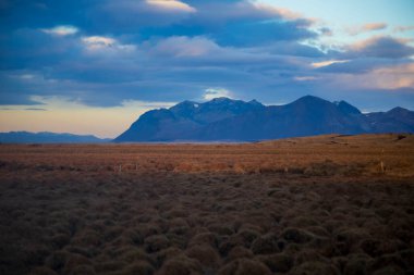 Alacakaranlık 'ta dramatik İzlanda manzarası Altın Tussock Tarlası ve Huysuz Dağları