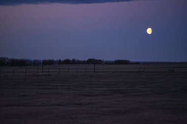 Derin Mor Alacakaranlık 'ta Parlayan Ay Gece Yarısı' ndaki Büyük İzlanda Sahası 'nda
