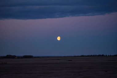Derin Mor Ay 'da Parlak Yarım Ay ve Kırsal İzlanda üzerinde Mavi Alacakaranlık Gökyüzü