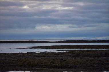 Huzurlu İzlanda Kıyı Sahili Kara Kayalık Kıyı ve Sakin Okyanus Bulutlu Alacakaranlık Gökyüzü Altında