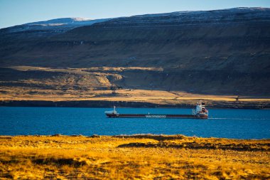 Geniş Wagenborg Kargo Gemisi Dağlı ve Altın Tundralı Sahilsel Fiyortta Geziniyor