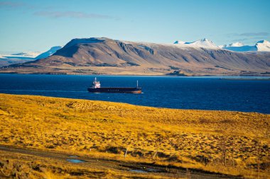 Kar Kaplama Dağ Dağları ve Altın Tundra ile Büyük Ticari Kargo Gemisi Geniş Sahil Kordonu