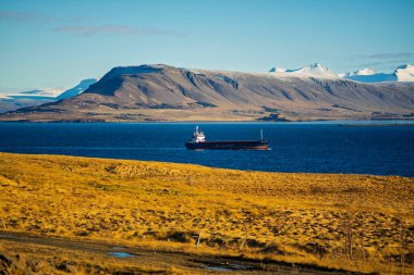 Mavi Wilson Kargo Gemisi Kar Kaplama Dağları ve Altın Tundra 'lı Manzaralı fiyort