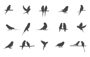 Budgerigar birds silhouette, Budgerigar birds svg, Budgie svg, Parakeet silhouette, Budgerigar vectors, Budgerigar birds clipart.