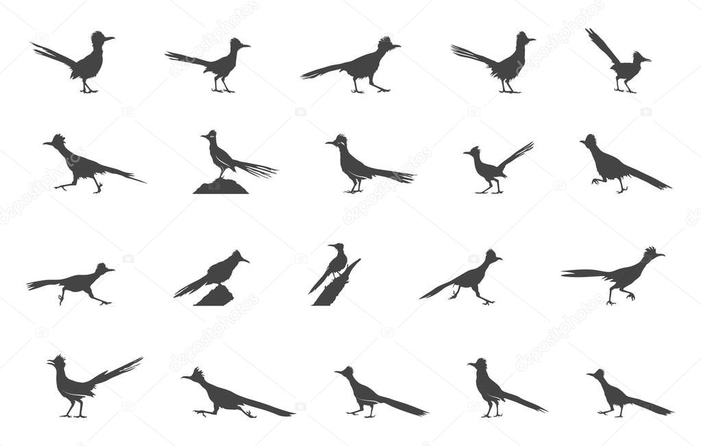 Roadrunner svg, Greater roadrunner silhouette, Greater roadrunner svg, Roadrunner bird silhouette, Roadrunner drawing.