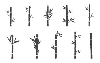 Beyaz arka planda bambu siluetleri, Bambu svg, Bambu ağacı silueti, Bambu ağacı svg, Bambu bitkisi silueti, Bambu vektörü. 