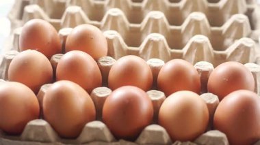 Bir kartondan taze kahverengi yumurta seçiyorum.