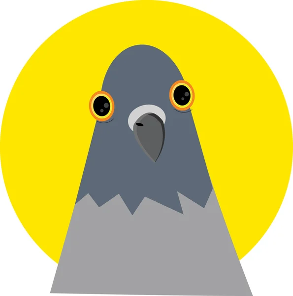 Cabeza de paloma sin cuerpo — Archivo Imágenes Vectoriales