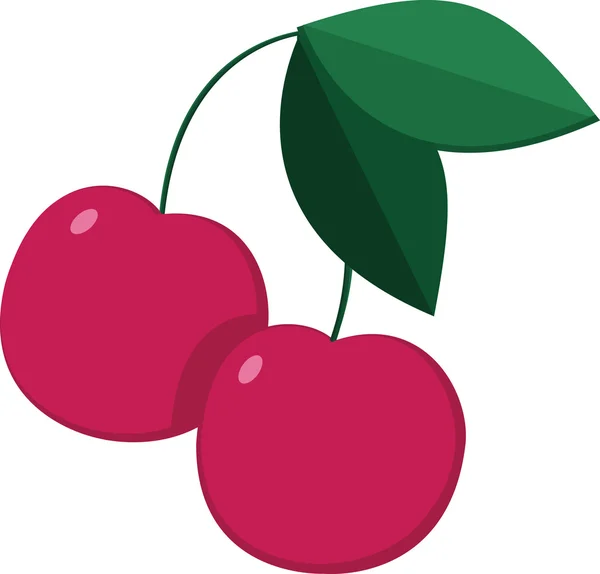 Két érett cseresznye egy ágon — Stock Vector