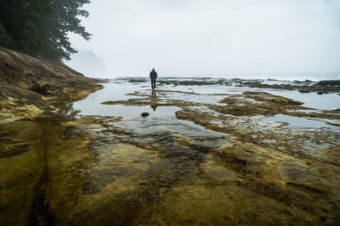 Botanik Beach, Juan de Fuca, bağlantı noktası Renfrew, M.ö., Vancouver