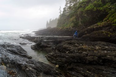 Baba ve oğul keşfetmek botanik Beach, Juan de Fuca, bağlantı noktası Renfrew, Britanya Kolumbiyası