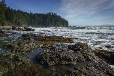 Sombrio Beach, Juan de Fuca, Vancouver Adası, Britanya Kolumbiyası