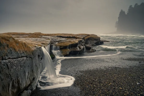 Praia Botânica, Juan de Fuca, Port Renfrew, BC, Vancouver — Fotografia de Stock