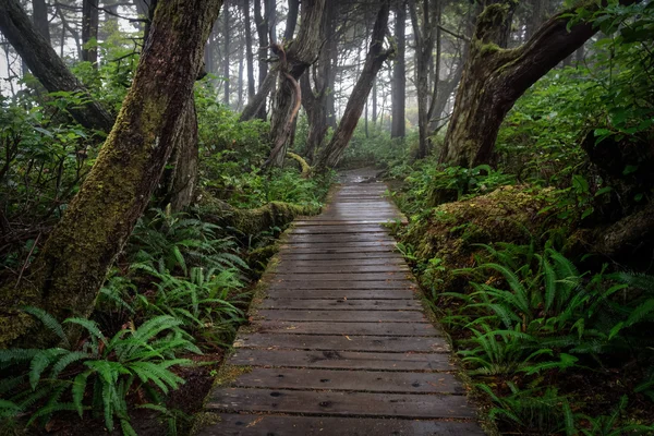 Playa Botánica cerca de Port Renfrew, BC — Foto de Stock