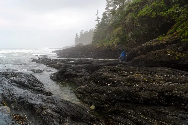 Padre e figlio esplorano Botanical Beach, Juan de Fuca, Port Renfrew, British Columbia — Foto Stock