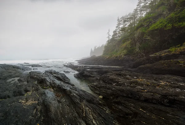 Botanischer strand, juan de fuca, port renfrew, bc, vancouver island canada — Stockfoto