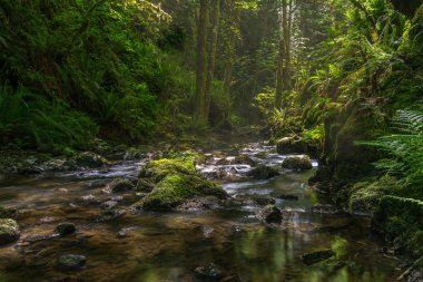 Tod Creek, Gowland Tod Victoria, British Columbia Kanada