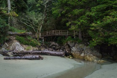 Foot bridge at Tonquin Beach, Tofino, British Columbia clipart