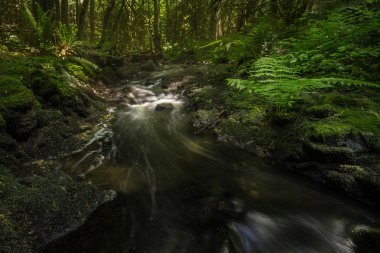 Tod Creek, Gowland Tod, Victoria, British Columbia Kanada