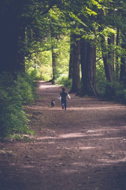 Çocuk Exploring orman Victoria, British Columbia'köpeğiyle