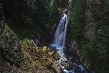 Bayan Falls, şelale, Strathcona Campbell River, British Columbia, Kanada yakın: