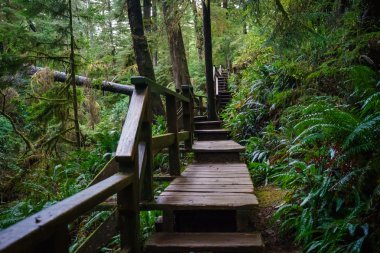 Schooner Cove iz, Estevan, Ucluelet, Britanya Kolombiyası