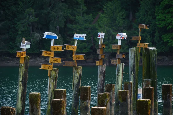 Bird Houses atop cement pilings at Tod Inlet. — Stock Photo, Image