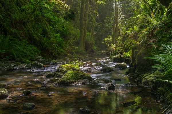 Tod Creek, Gowland Tod Victoria, British Columbia Canada — Stock Photo, Image