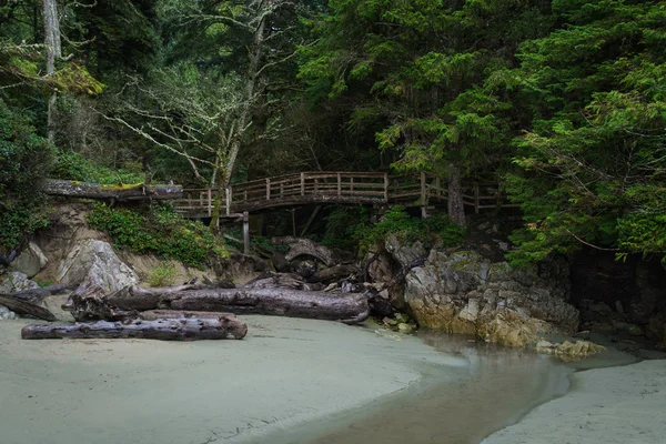 Nožní most v Tonquin Beach, Tofino (Britská Kolumbie) — Stock fotografie