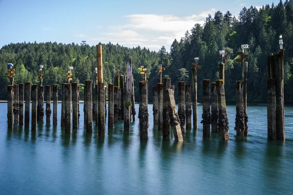 Tod Inlet Bird Houses — Stock Photo, Image