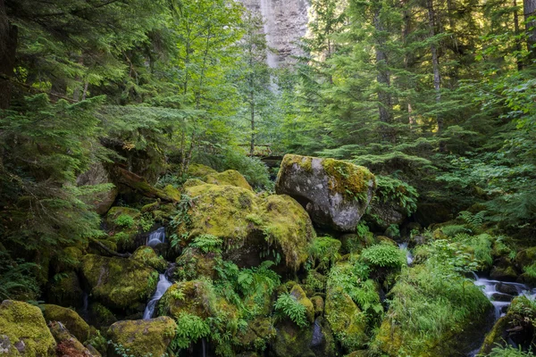 Watson Falls Trail, Umpqua, Орегон, США — стоковое фото