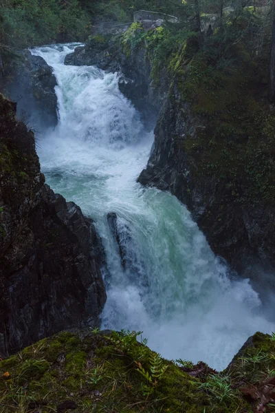 Little Qualicum Falls, Parksville, Qualicum, British Columbia, Vancouver Island, Canadá, Cachoeira — Fotografia de Stock