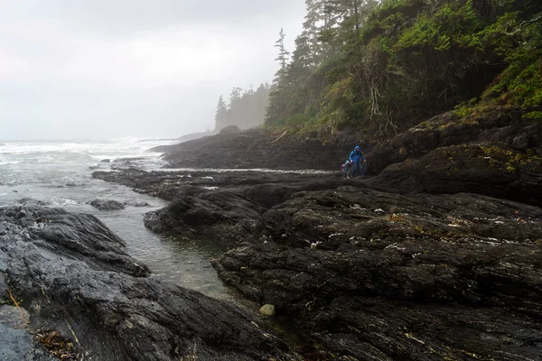 Vater und Sohn erkunden botanischen Strand, Port Renfrew, BC — Stockfoto