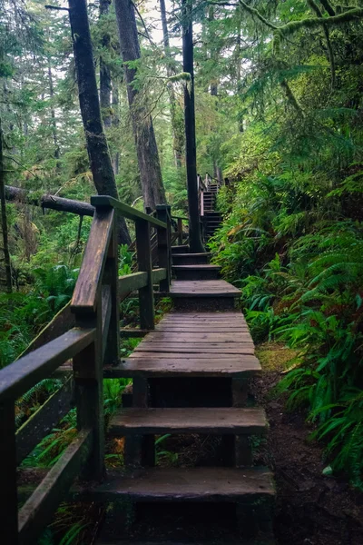 Crooked Winding Trail to Schooner Cove, Tofino — Stock Photo, Image