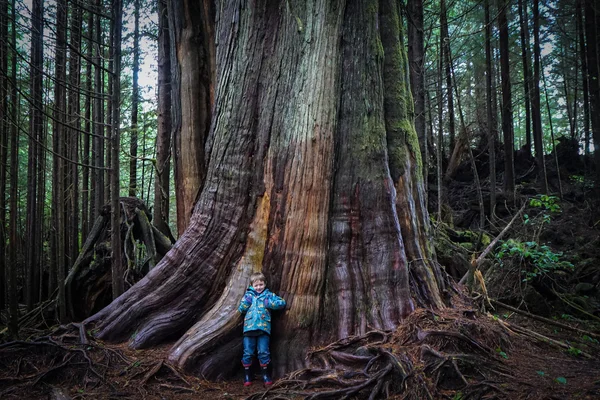 Niño en frente del árbol en camino a Schooner Cove — Foto de Stock