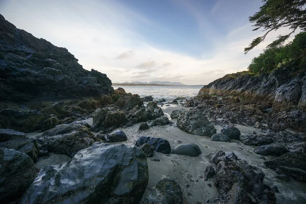 Box Island, Tofino, Colúmbia Britânica — Fotografia de Stock