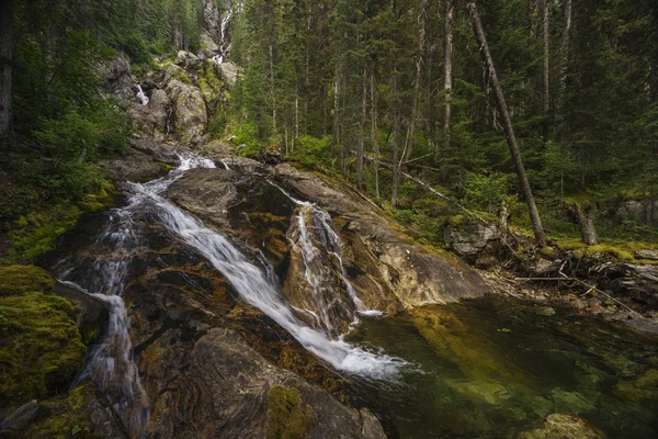 Silver Tip Falls, North Thompson, cerca de Clearwater, Columbia Británica, Canadá —  Fotos de Stock