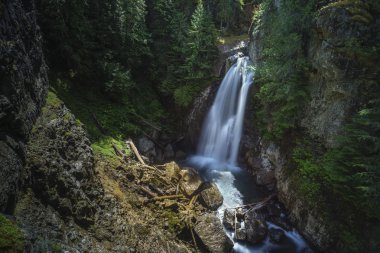 Campbell River, British Columbia, Kanada yakınındaki Bayan Falls