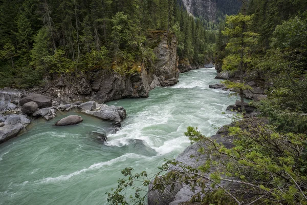 Rio Fraser em Overlander Falls Trail, perto de Valemount, Colúmbia Britânica — Fotografia de Stock