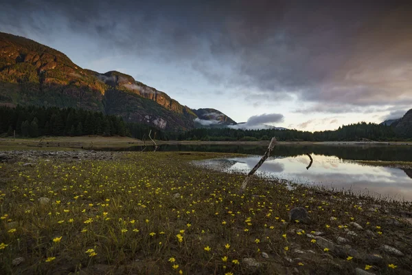 Buttle Lake,Campbell River, British Columbia, Vancouver Island, Canada — Stock Photo, Image