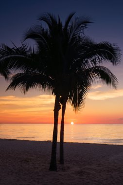 Meksika tropikal günbatımı