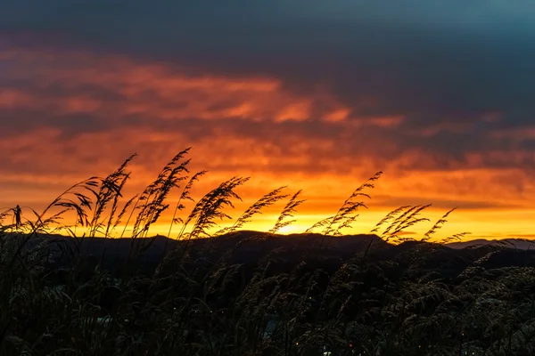 Tramonto preso al Monte Tolmie a Victoria, BC, Canada — Foto Stock