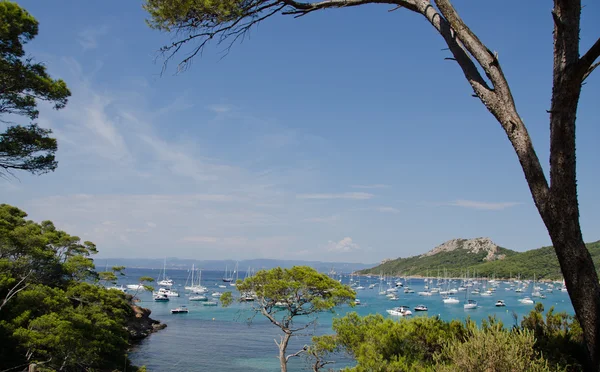 De porquerolles, Franse eilanden met strand en zee als het Caribisch gebied — Stockfoto