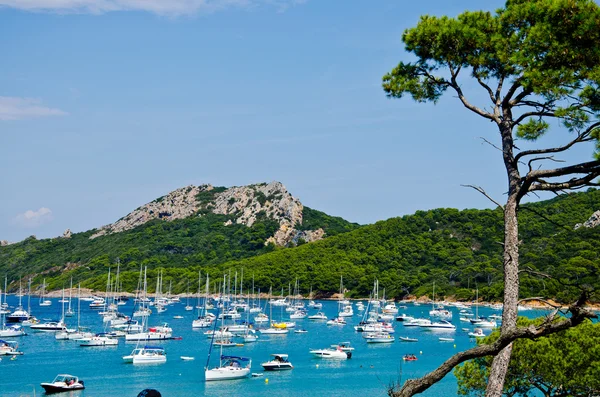 Porquerolles Adası. Fransa'da Karayipler beach
