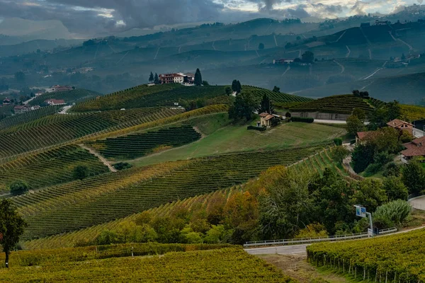 Vinhas Piemontês Langhe Jogos Giométricos Nas Vinhas Perto Alba — Fotografia de Stock