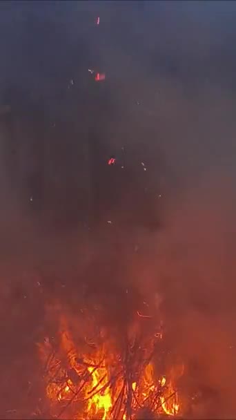 Jasně Červený Oheň Vytvořený Hořícím Dřevem Noci — Stock video