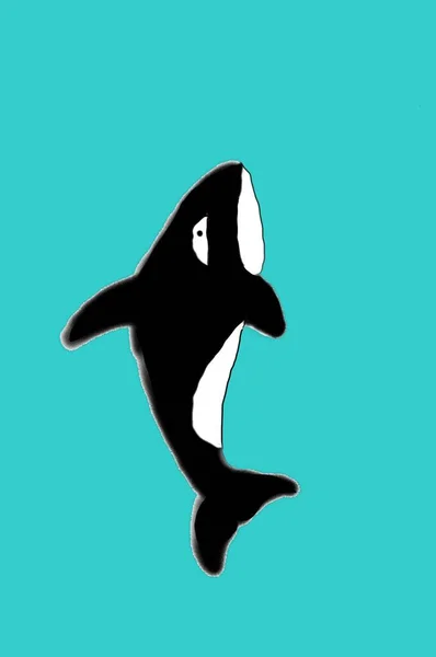 Ilustración Que Representa Una Orca Negra Nadando Las Aguas — Foto de Stock