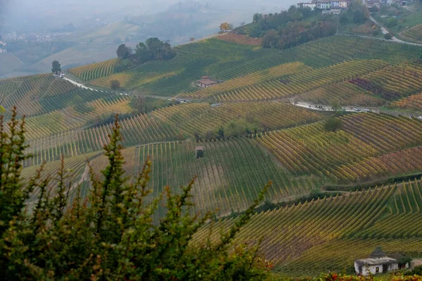 Τοπία Του Πεδεμοντίου Langhe Τυπικά Χρώματα Του Φθινοπώρου Αμέσως Μετά — Φωτογραφία Αρχείου