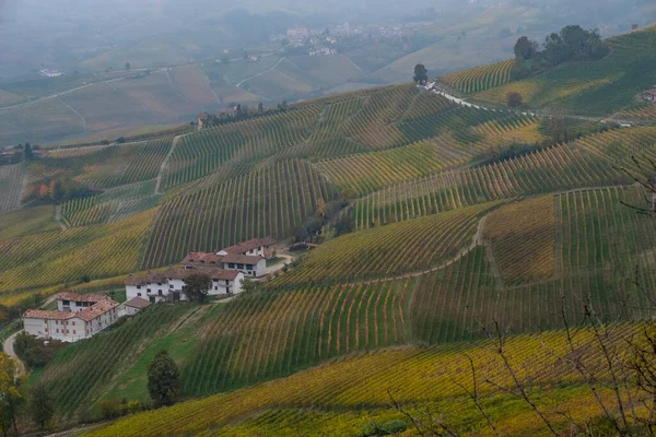 Landscapes Piedmontese Langhe Its Typical Autumn Colors Just Harvest — Stock Photo, Image